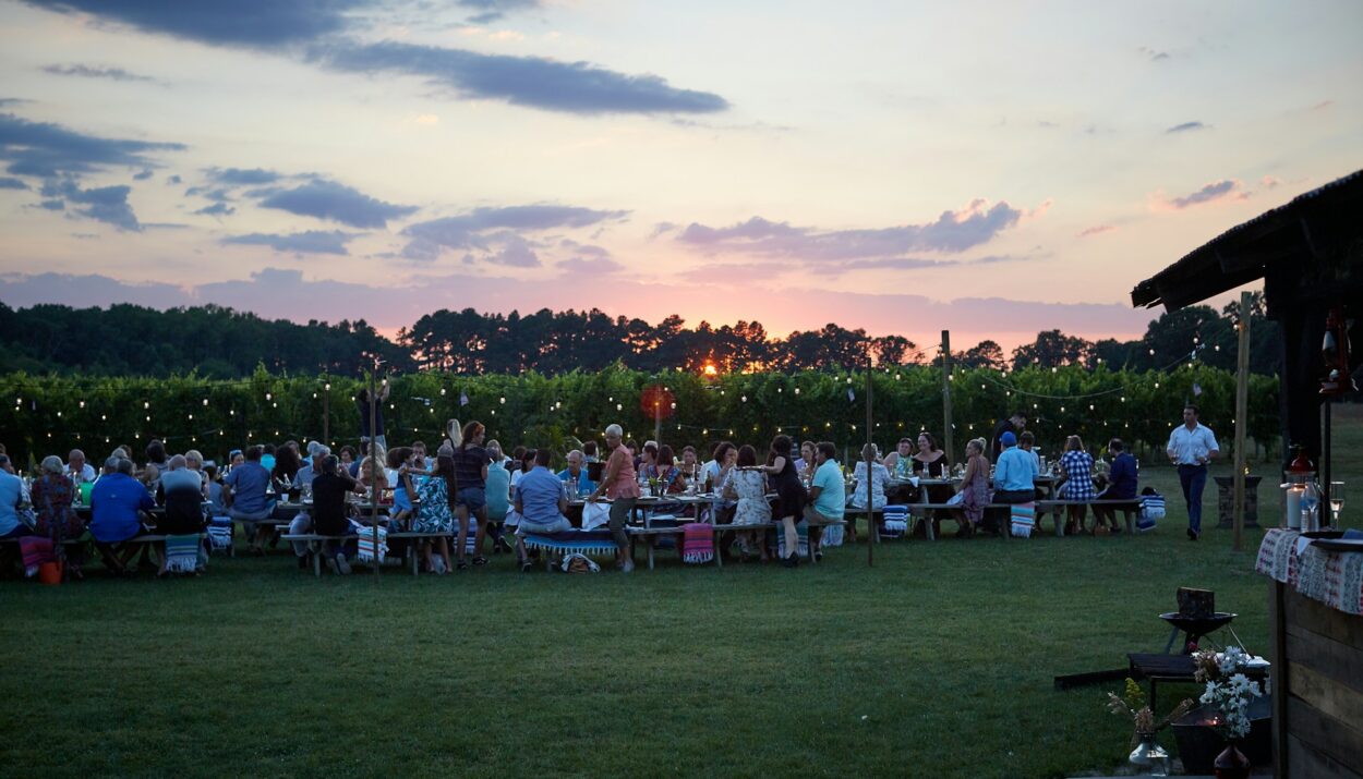 backyard party